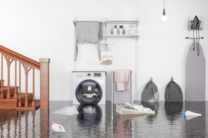 What to Do When Your Basement Floods in Volusia County